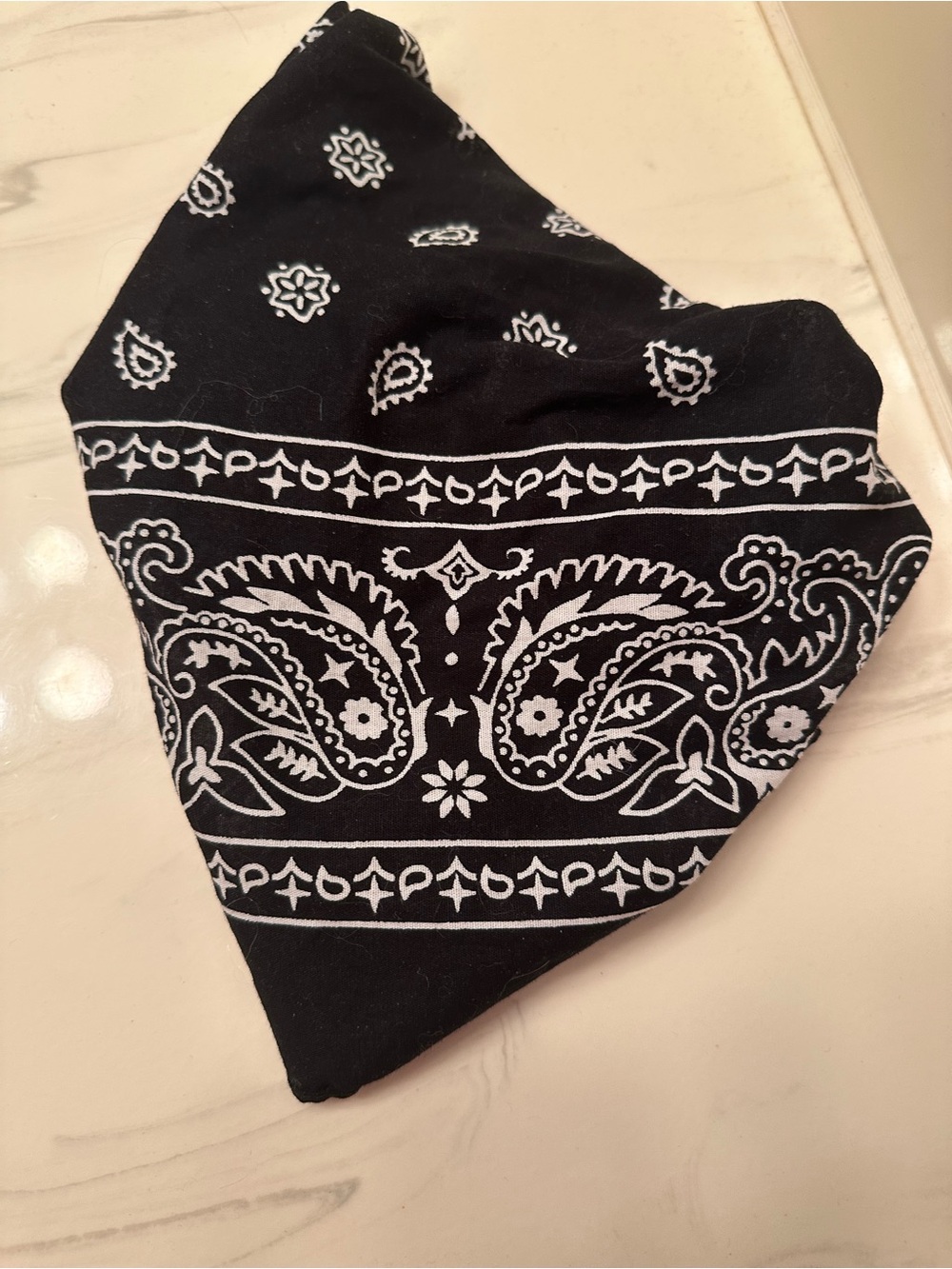Black & White Bandana